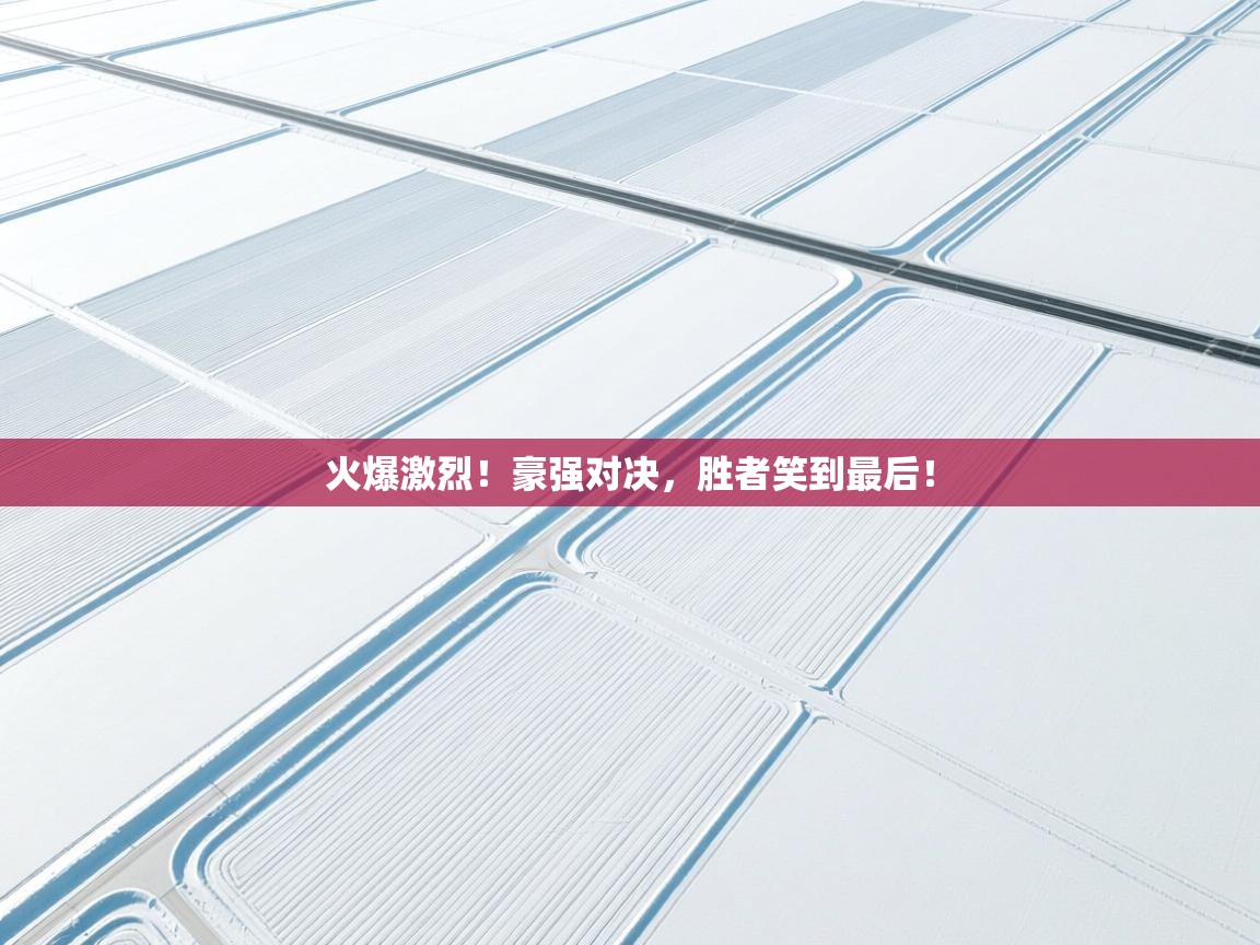 火爆激烈!豪强对决,胜者笑到最后! 第2张