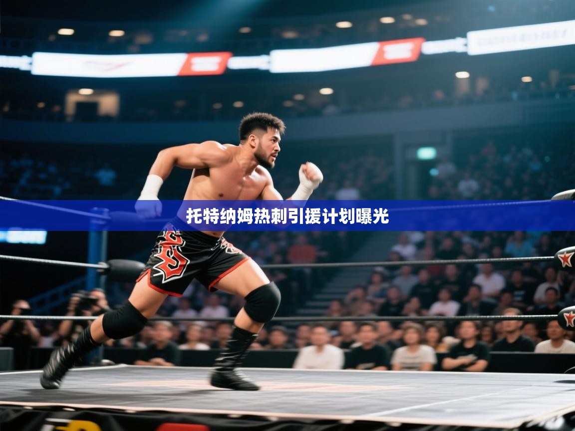 托特纳姆热刺引援计划曝光  第2张