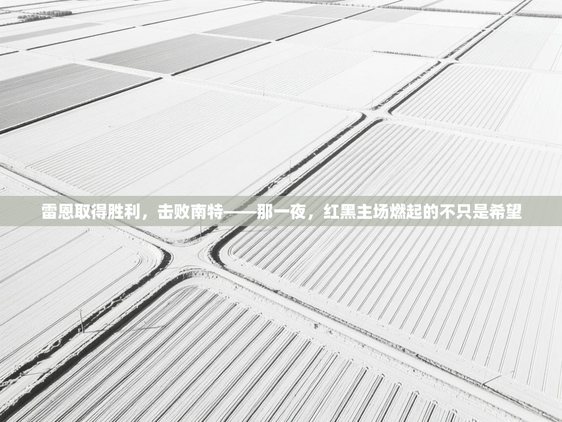 雷恩取得胜利，击败南特——那一夜，红黑主场燃起的不只是希望  第1张